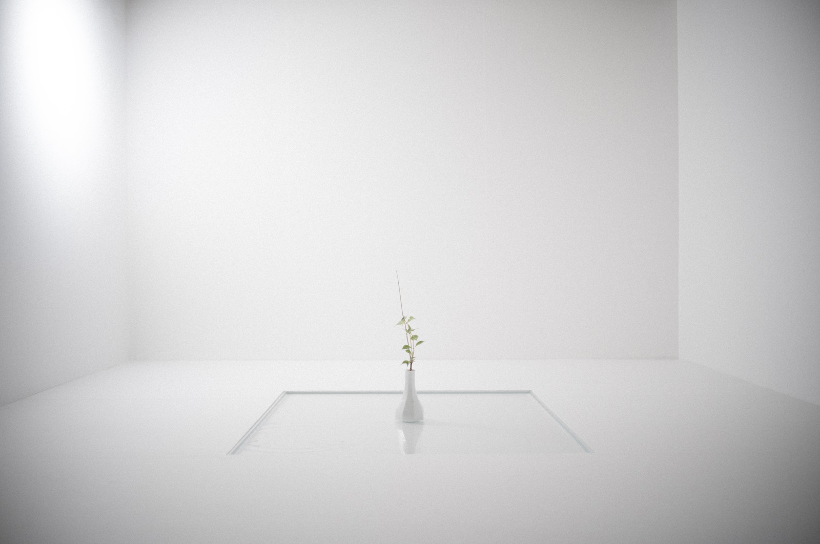 ©2024　池坊専宗